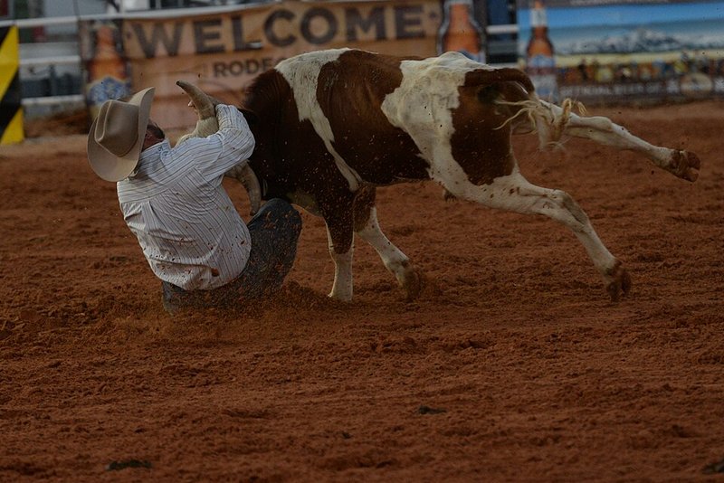 Robertsdale Rodeo & Baldwin County Fair